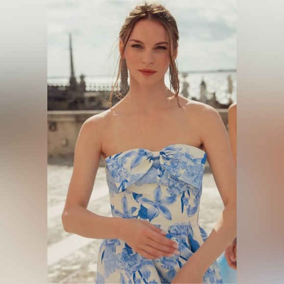 SACHIN & BABI Isabeau Floral Strapless Blue Gown 2 - Picture 4 of 9